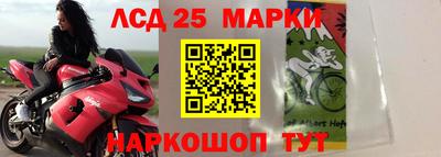 СК Донской
