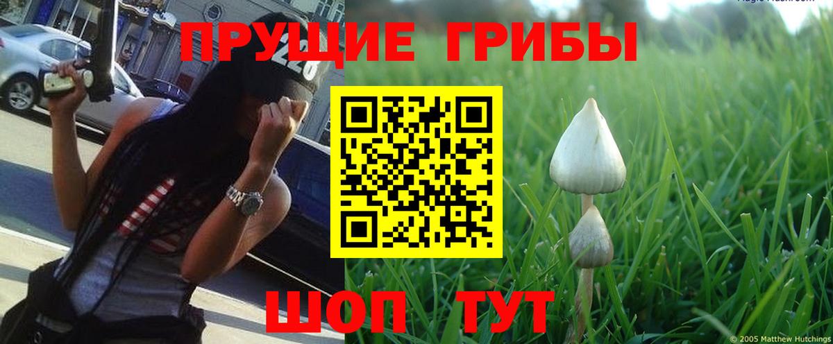 Галлюциногенные грибы Magic Shrooms Качканар